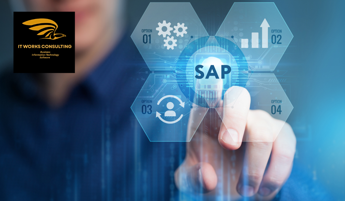 SAP PP Functional Consultant vs Technical Consultant: What’s the Difference?