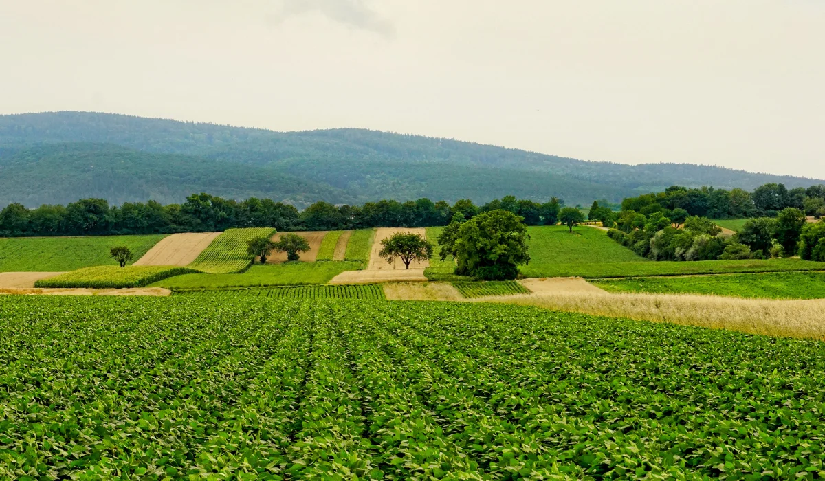 Agriculture Industry