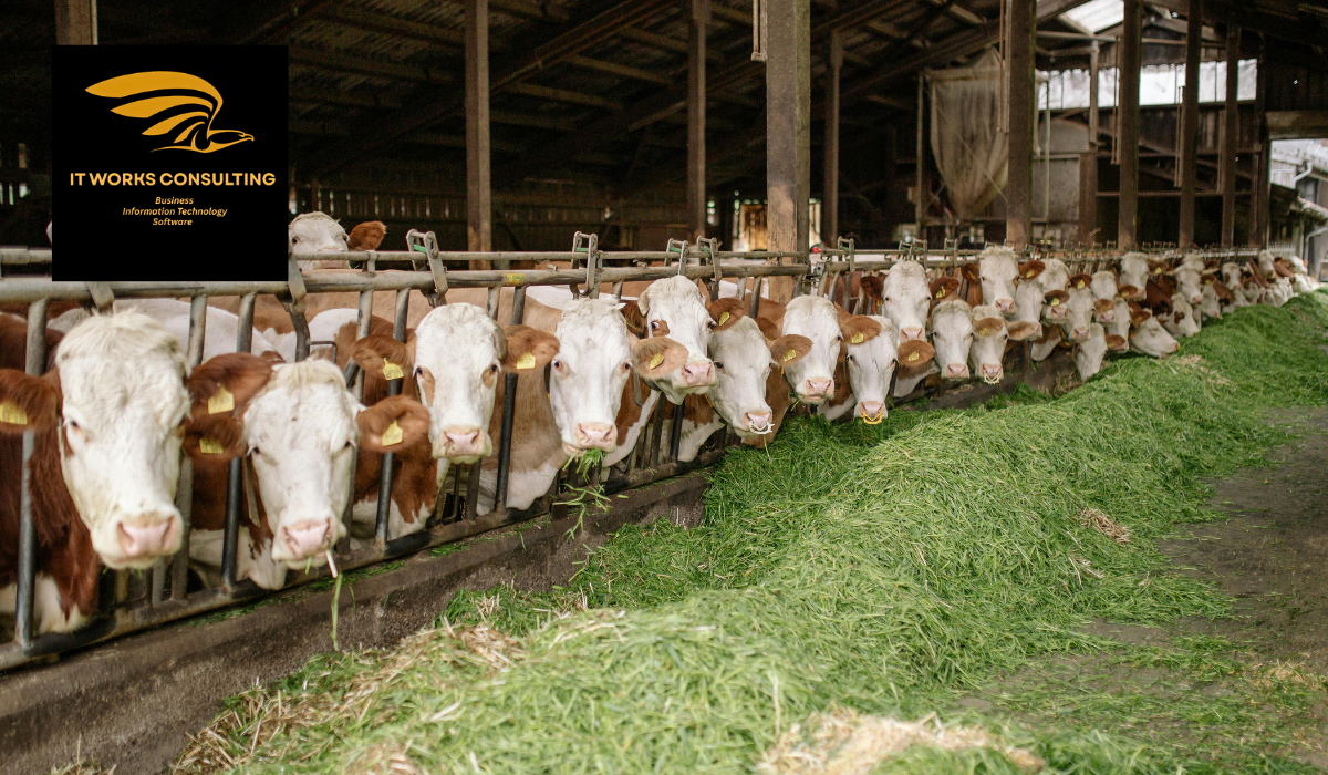 All About Livestock Farming