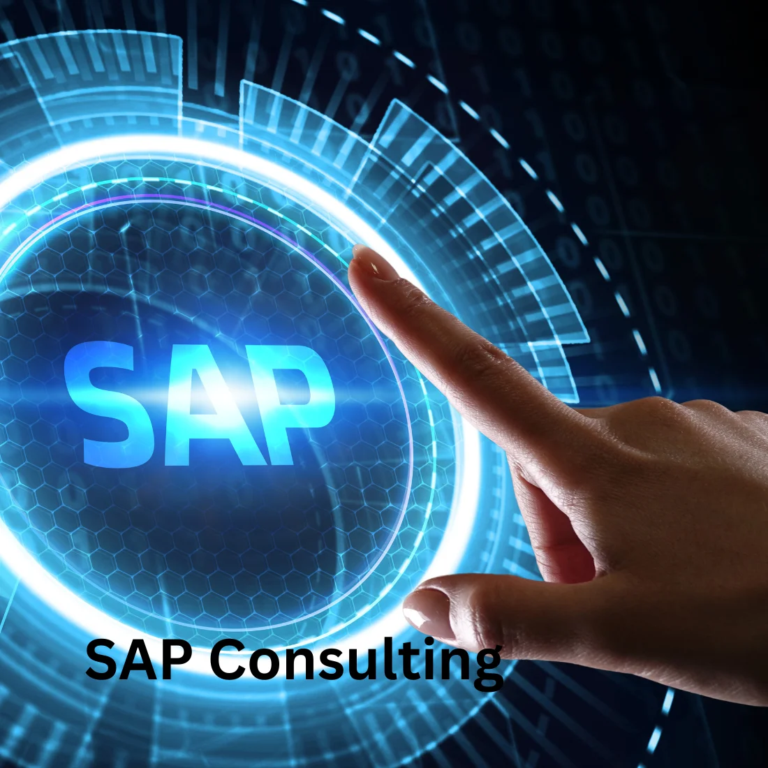 SAP Consulting